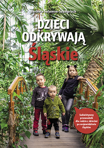 Skład książki